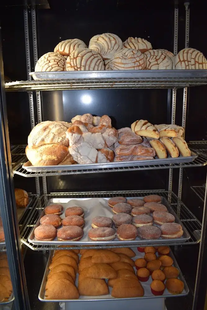 Rack of fresh conchas and pan dulce